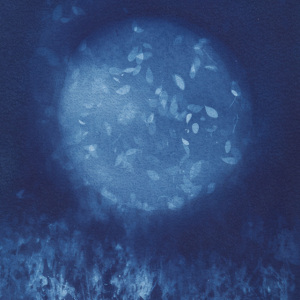 pirjolempea-blue_moon-0105